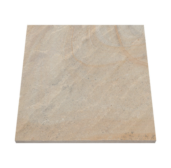 FOSSIL SANDSTONE
